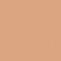 Skinfood Agave Cactus Sun BB Cream (Shade 2)
