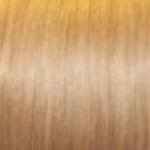 Tape Hair Extensions- Honey Carmel Indian Remy Skin Weft Human Hair Extensions #16