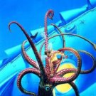 20,000 Leagues Under the Sea 16 Audio CD's NIB