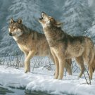 Call of the Wild by Jack London on 4  Audio CD's NIB
