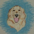 Pet Portrait - Custom Order