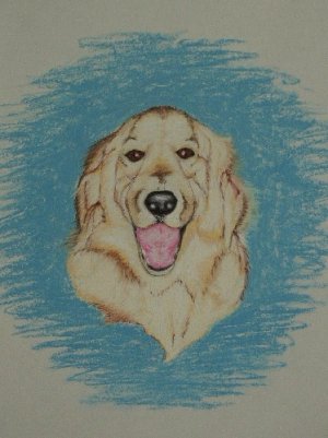Pet Portrait - Custom Order