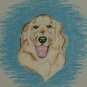 Pet Portrait - Custom Order