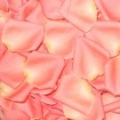 Fresh Rose Petals