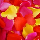 Fresh Rose Petals