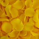 Fresh Rose Petals