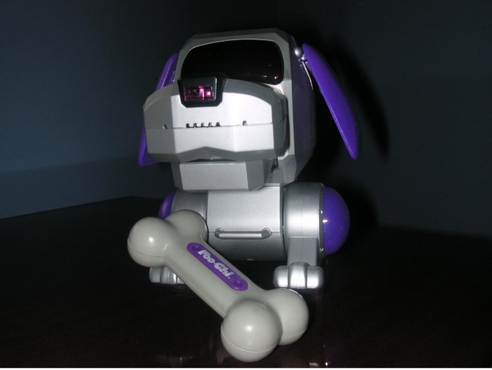 purple robot dog