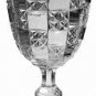 U.S. Glass Co LOG & STAR Pressed Glass EAPG Water Goblet