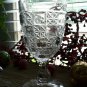 U.S. Glass Co LOG & STAR Pressed Glass EAPG Water Goblet