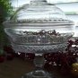 Antique Victorian Bryce Higbee SPIREA BAND Crystal Covered Compote