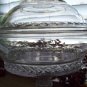 Antique Victorian Bryce Higbee SPIREA BAND Crystal Covered Compote