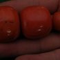 Coral Pearls