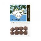 Forget Me Not - 8 Pack