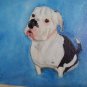 Personalized Pet  Portrait Painting