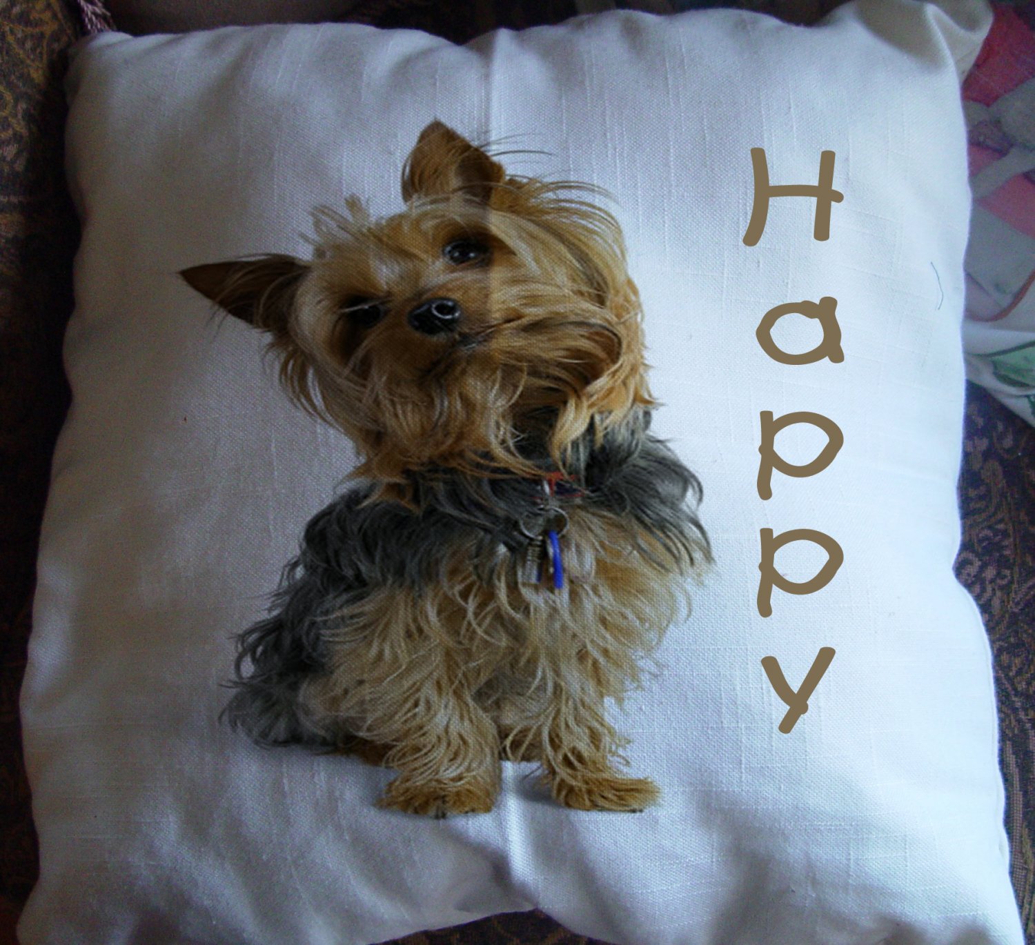 Personalized Pet Photo 14" Pillow