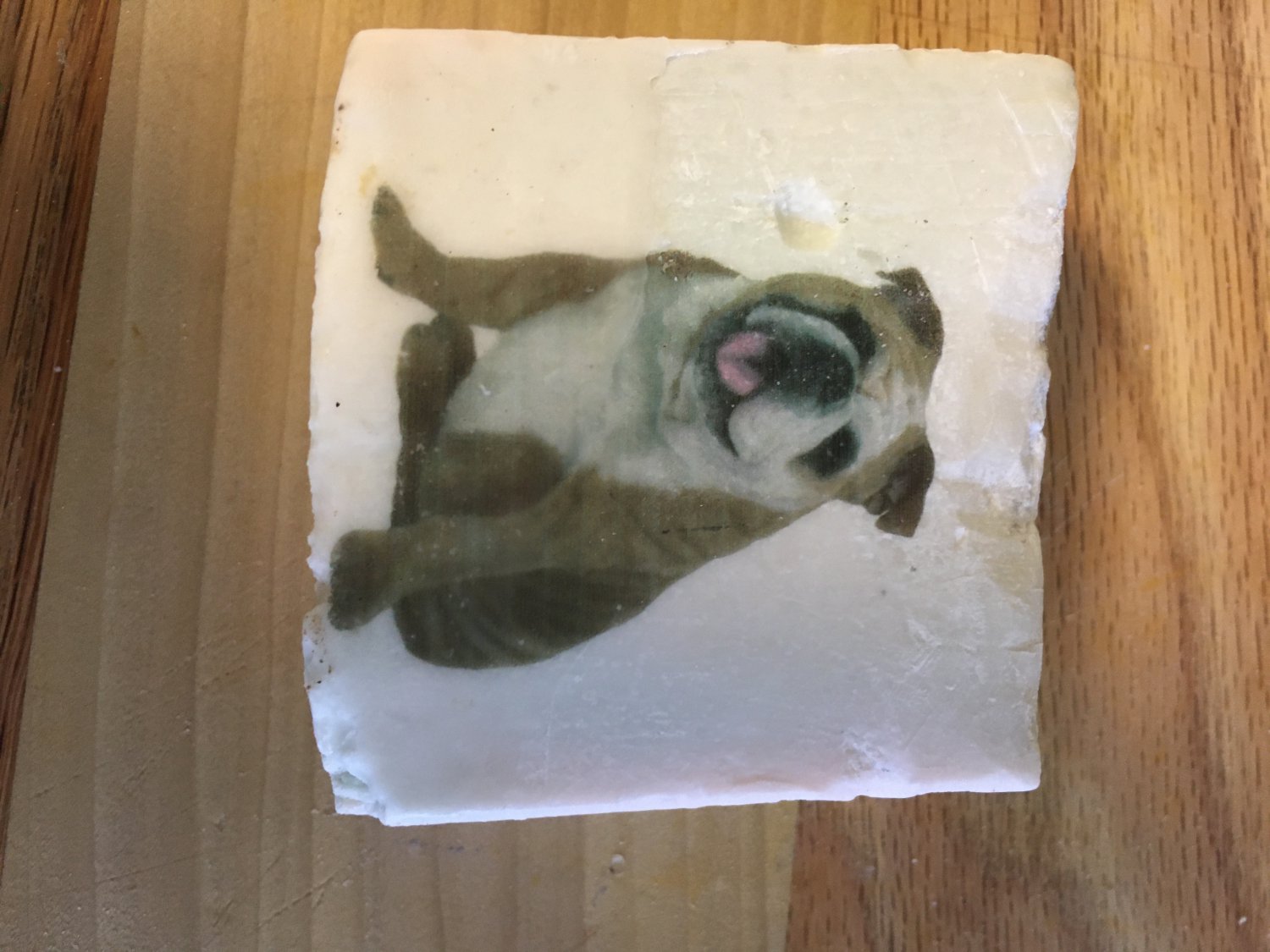 Artisan Soap Embedded Bulldog (2)
