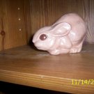 Brown Bunny