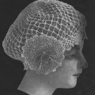 Snood Crochet Hair Net  Pattern PDF