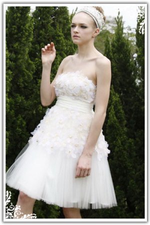 A-line Strapless Short/ Mini Sleeveless Tulle Quick Delivery Dress 80258