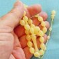 ISLAMIC PRAYER BEADS PALE TURKISH AMBER