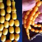 ISLAMIC PRAYER BEADS VINTAGE CLASSICAL MISKETA