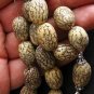GREEK KOMBOLOI BETEL NUT  & STERLING