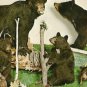 Animal Wonderland BLACK BEARS Wisconsin Dells Postcard