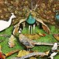 Animal Wonderland PHEASANTS PEACOCKS Wisconsin Dells Postcard