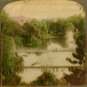 1884 Palm Gardens Bridge Frankfort, Germany Postcard