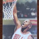 Michael Jordan 4"x 6.5" Collectible Card #262 AP Wide World Photos Bulls