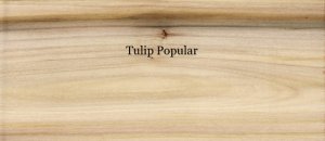 KD Tulip Popular