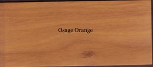 Osage Orange 12" X 12" Beams