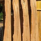 dogwood flitches