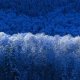 Gold Client - DEVRebuild Service