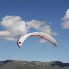 Advance Bibeta 4,2009, 45 hours, free shipping inside U.S.3500.00, no sales tax outside Hawaii