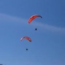 Ozone Buzz M, with harness and reserve, top condition. 2995.00