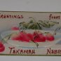 Vintage Postcard "Greeting From Tekamah Nebraska" early 1900's