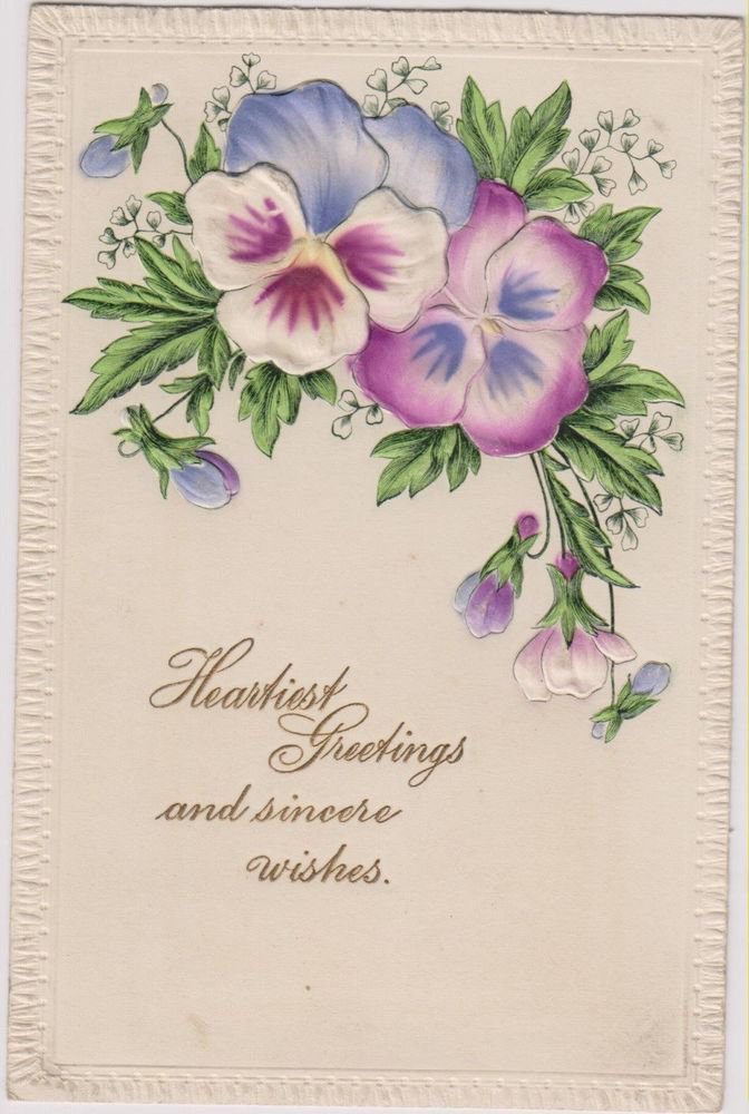 Vintage Postcard "Heartiest Greeting & Sincere Wishes" Purple White Flowers