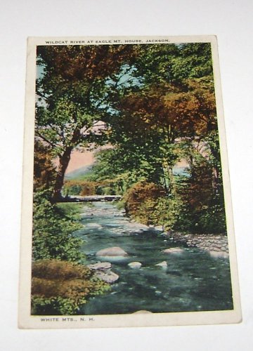 Vintage Postcard Jackson NH White Mountains Wildcat River
