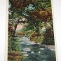 Vintage Postcard Jackson NH White Mountains Wildcat River