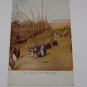 Vintage Postcard "Boats on the Nile Egypt"