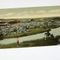 Vintage Postcard Sheep Ranch & Man Herding on Horse Montana?