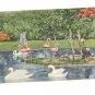 Vintage Postcard Famingo Pond Parrot Jungle Miami Florida