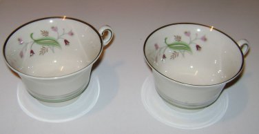 (2) OLD IVORY Tea Cup Syracuse China