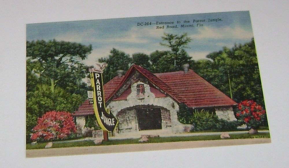 Vintage Postcard Entrance to Parrot Jungle Red Road Miami Florida