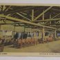 Vintage Postcard Lake Lodge Lobby Yellowstone Park Indoor Scene