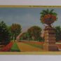 Vintage Postcard Entrance To Liberty Park Slat Lake City