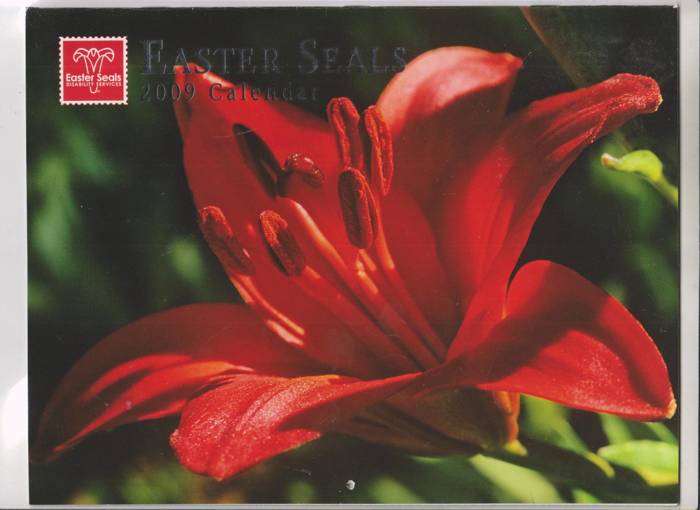 Easter Seals 2009 Calendar