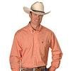 High Quality Pure Cotton Shirt Apple Shape Orange