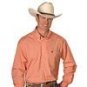 High Quality Pure Cotton Shirt Apple Shape Orange